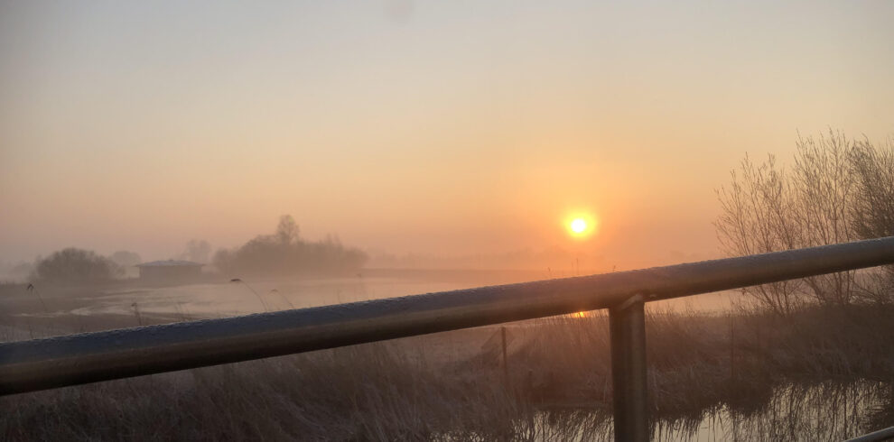 Ochtend in de Alde Feanen